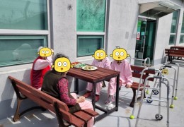 봄맞이 꽃 구경